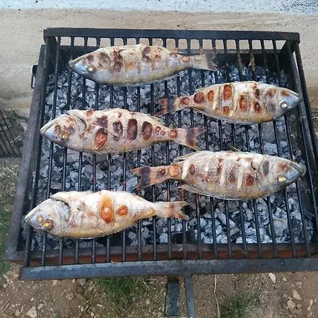 アパート By The Sea Razanac, Zadar - 14179